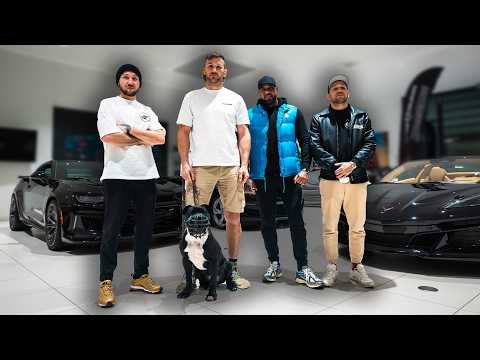 Max & Mo suchen das perfekte Auto für uns aus