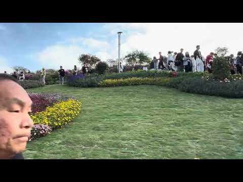 2026 年1 月30 日正式對外開放的山花燦漫公園,你去咗味?