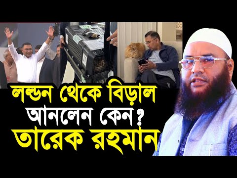 লন্ডন থেকে বিড়াল আনলেন কেন তারেক রহমান ! অবাক তথ্য দিলেন হুজুর Maulana Abul Kasem Sarkar