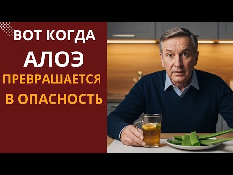 АЛОЭ — польза или вред? Всё решает один нюанс!