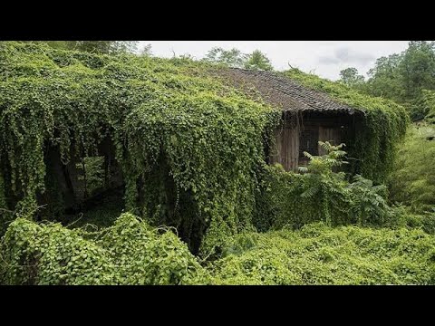 What We Found Cleaning This Abandoned House Will Shock You!