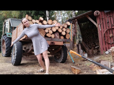 Firewood harvesting 2021. I went to YUMZ with a trailer to the forest. I collect deadwood.