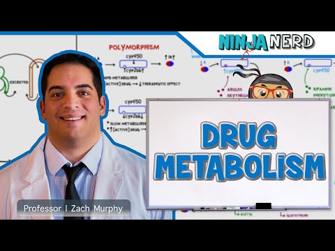 Pharmacokinetics | Drug Metabolism