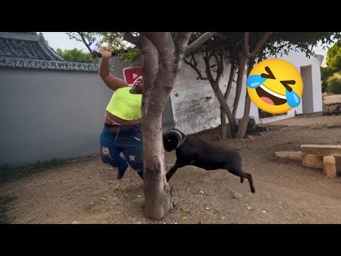 Try Not To Laugh 🤣 Top 100 Funniest Videos Ever 🎬🔥 Memes, Epic Fails & Pranks Compilation Part 20