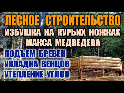 КАК ПОСТРОИТЬ ДОМ В ЛЕСУ СВОИМИ РУКАМИ БЕСПЛАТНО. Изба в лесу - строительство в одиночку. Бушкрафт.