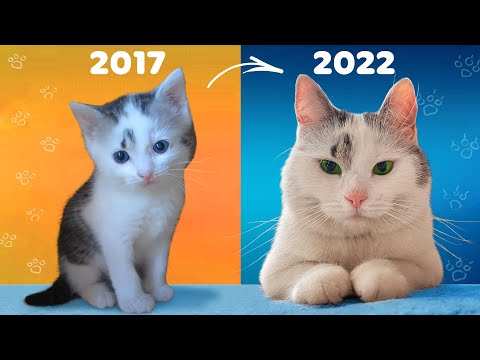 СМОТРИМ СТАРЫЕ ВИДЕО! КАКИМИ БЫЛИ НАШИ ПИТОМЦЫ? РЕАКЦИЯ на ПЕРВЫЕ РОЛИКИ канала А ну-ка Давай-ка