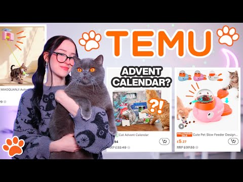 TESTING MORE WEIRD CAT GADGETS FROM TEMU...