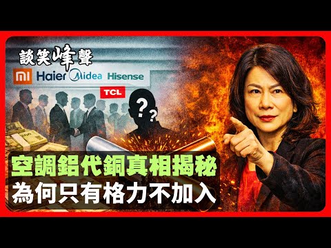 原來這才是空調「去銅化」的真相！企業聯手降品質，逼消費者買單？多家空調巨頭聯手用鋁替銅，格力為何拒絕？董明珠一語道破。把耐用品做成快消品，中國製造正在走歪路，從空調用鋁到汽車快消化，資本正在改寫規則。