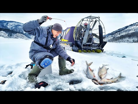 ТАКУЮ РЫБАЛКУ НУЖНО ЗАПРЕТИТЬ!? ЗАЛЕЗ В ДИЧАЙШИЕ ДЕБРИ С НАНОТЕХНОЛОГИЯМИ И ОШАЛЕЛ !