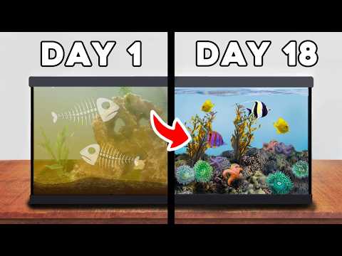 I Simulated a Tidepool for 30 Days