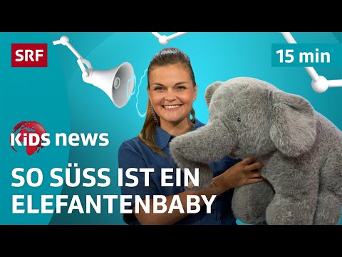 SRF Kids News: Besuch im Zoo Zürich bei Elefantenbaby Zali | Nachrichten für Kinder