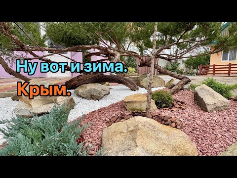 A garden fading into winter. A walk.