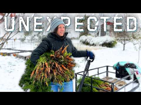 When Life Doesn't Go As Planned (homestead struggles)