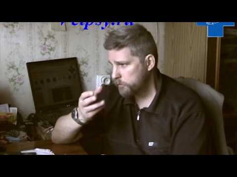 Стресс у животных: что делать?