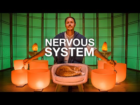 Sympathetic Nervous System RESET
