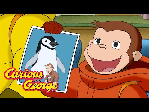 George's Trip to Antarctica! π΅ Curious George π΅ Kids Cartoon π΅ Kids Movies