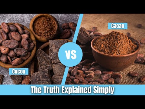 Cacao vs Cocoa: What’s the Real Difference?