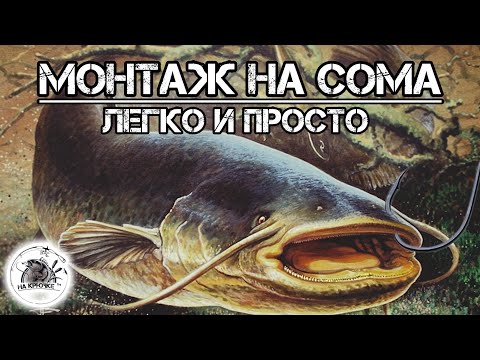 Shore-based catfish fishing rig with an underwater float. #fishing #catfish