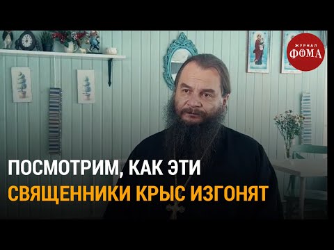 Посмотрим, как эти священники крыс изгонят / Непридуманные истории
