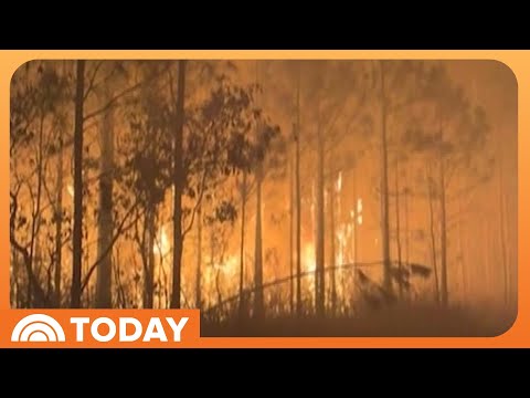 Wildfires Rage in Georgia and Florida, Prompting Evacuations