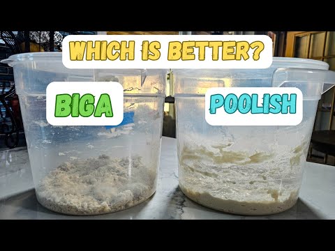 Biga vs. Poolish: The Secret Ingredients Behind Perfect Pizza Dough
