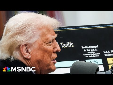 Congress hasn't 'held back the king' while Trump takes powers that aren't his: Economist