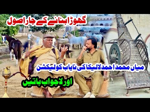 Laleka Farms Haroonabad || Mian Ahmed Lalek’s Horse & Culture Items Collection
