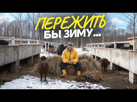 My Biggest Mistakes When Building a Farm! I Wish I Knew This Sooner / Farming from Scratch