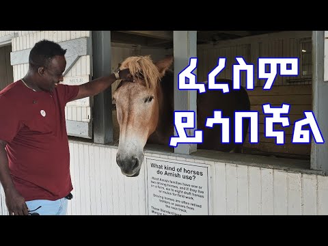 Semere Bariaw| ሠመረ ባርያው  | ሰመረ ባሪያው| Bariyaw | Reaction| Lancaster #ምንይላሉ| #new #አዲስ