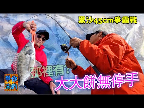 【爭你未釣】邊度甘多黑沙釣⁉️｜全日上魚手不停🐟｜45cm爭霸戰💥｜#Fishing #BlackSeabeam #boatfishing｜Urban Fishing Hong Kong