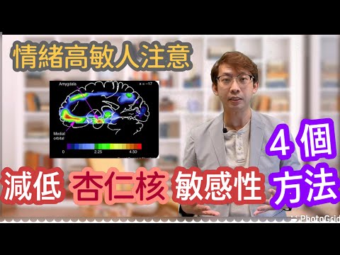 降低杏仁核敏感度四個方法｜情緒高敏人注意了