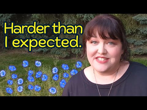 I Grew Flax In My Backyard and This Happened