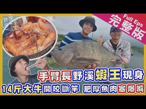 【花蓮】FUN野趣｜吳郭魚一尾14斤? 釣竿墳場/比手粗過山蝦/狼牙棒藤心/阿美古法漁獵石頭火鍋/磯崎溯溪瀑布當泰山《世界第一等》1035集完整版Full EP.1035 Engsub