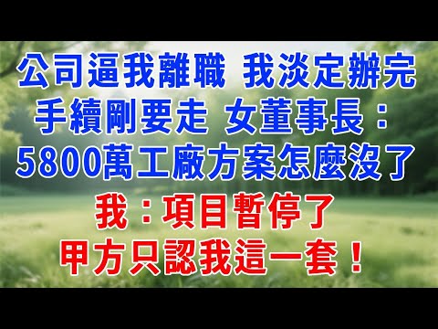 公司逼我主動離職，我淡定辦完手續剛要走，女董事長突然怒吼：“5800 萬的工廠擴建方案怎麼沒了？”我淡淡回應：項目暫停了，甲方只認我這一套。#人生感悟 #故事分享 #职场 #打脸