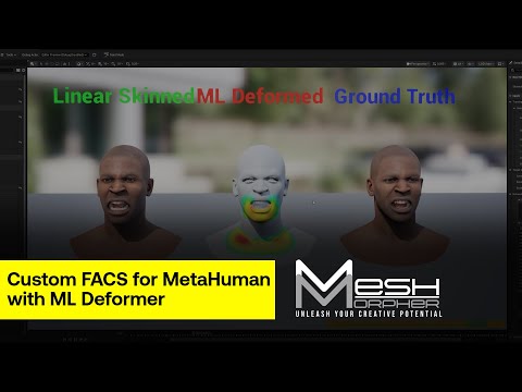 Custom FACS for MetaHuman with ML Deformer