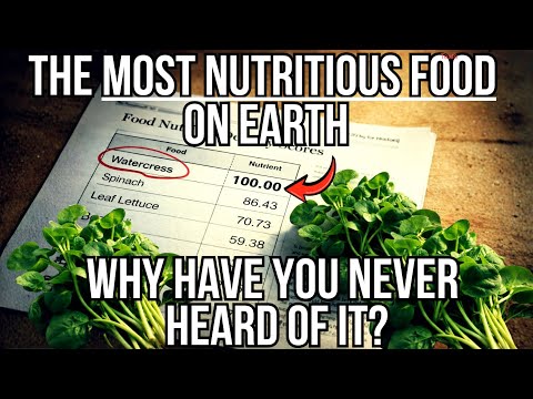 The Most Nutrient-Dense Food on Earth. Confirmed by the U.S. Government. So Why Can’t You Buy It?