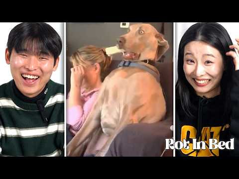 How Adorable Are They! | Koreans React to Cute and Funny Animals Video | Rot In Bed