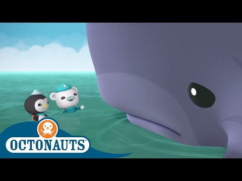 Octonauts - Cheering Up a Lonely Whale | Cartoons for Kids | Underwater Sea Education