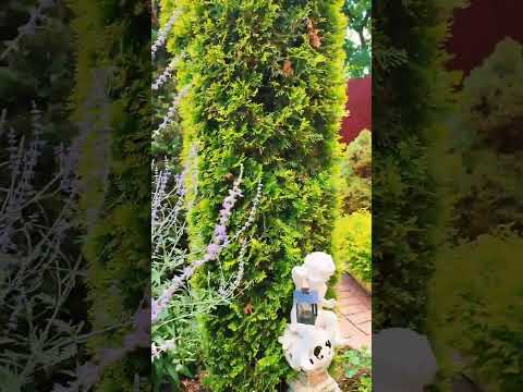 Привет, Август! ЛЕТО, ДАВАЙ ПОМЕДЛЕННЕЕ.