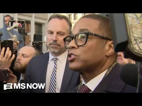 ‘The process is the punishment’: Don Lemon pleads not guilty to 'constitutionally flawed' charges