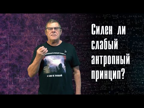 Борис Штерн. Силен ли слабый антропный принцип? Опять дешевая темная материя. Вопросы-ответы.