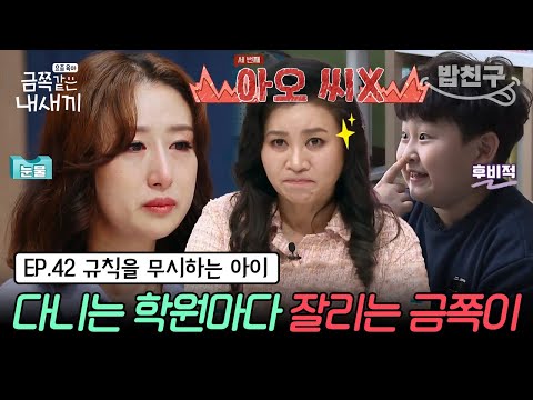 [#밥친구] (금쪽이 42회 풀버전) 말끝마다 씨X? 무법자 금쪽이가 버거운 엄마!  홍현희가 금쪽이를 탐내는 이유는? | 금쪽같은 내새끼 42회