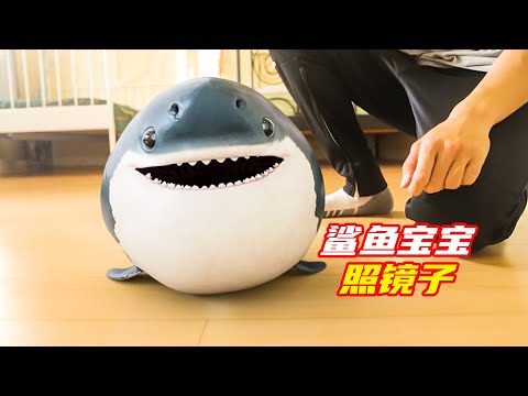 鯊魚寶寶第一次照鏡子被嚇壞了，簡直太可愛了；鯊魚寶寶，奇幻，獵奇，電影解說