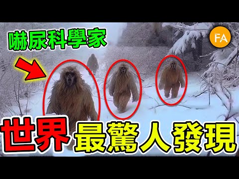 世界最驚人的十個恐怖發現，無人機意外拍到驚人畫面，第一名嚇壞科學家，甚至將造成全球災難！- 旅行紀錄片