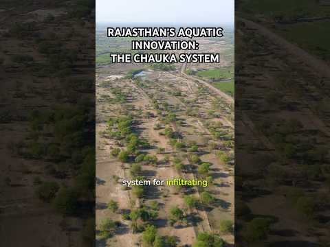 Rajasthan's Aquatic Innovation: The Chauka System Unveiled