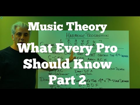 Music Theory Lecture - What Every Pro Musician Needs To Know  Pt 2