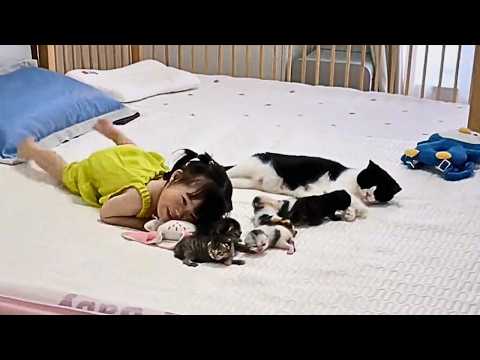 Found a stray cat on the roadside, took her for a checkup and discovered she was pregnant!