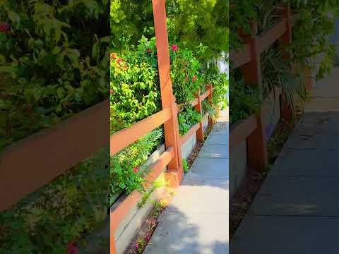 City on the Pacific Ocean