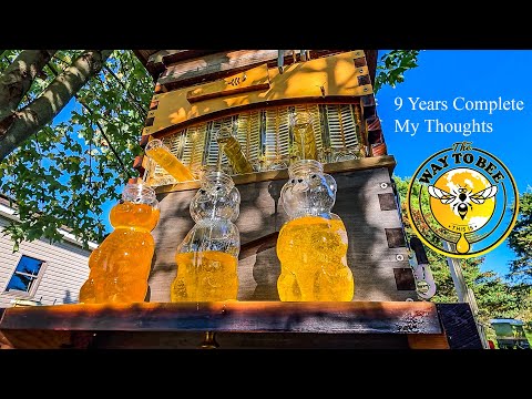 Flow Hive Harvest, my 9th year REVIEW, Now what do I really think?