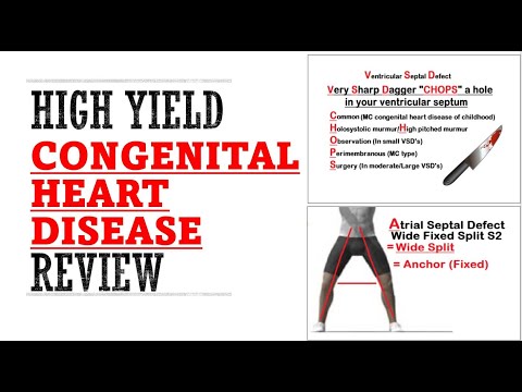 Congenital Heart Disease Review | Mnemonics And Proven Ways To Memorize for your exams!